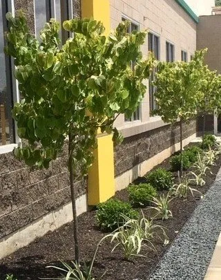 Custom residential landscaping for outdoor upgrades across Houston, TX - Burns Landscaping