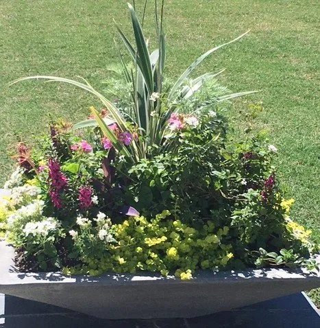 Expert lawn mowing service for homes across Houston, TX - Burns Landscaping