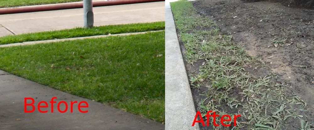 Expert landscape design in Houston, TX by Burns Landscaping