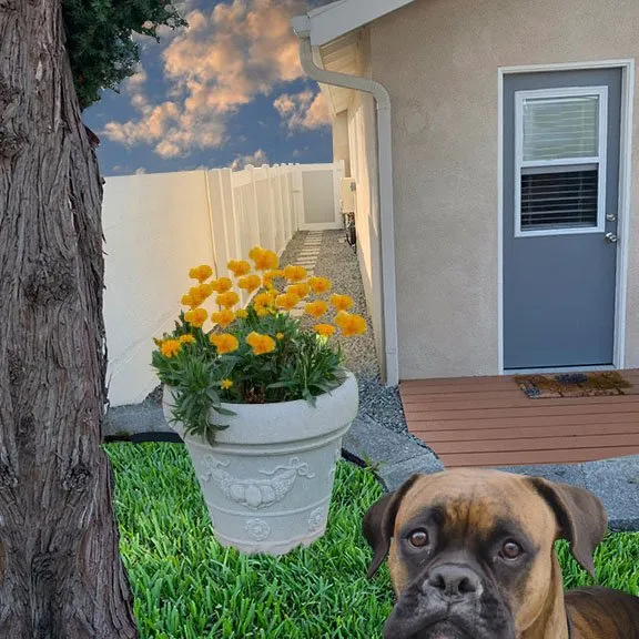 Expert landscape installation with custom design in San Juan Capistrano, CA by Burns Landscaping