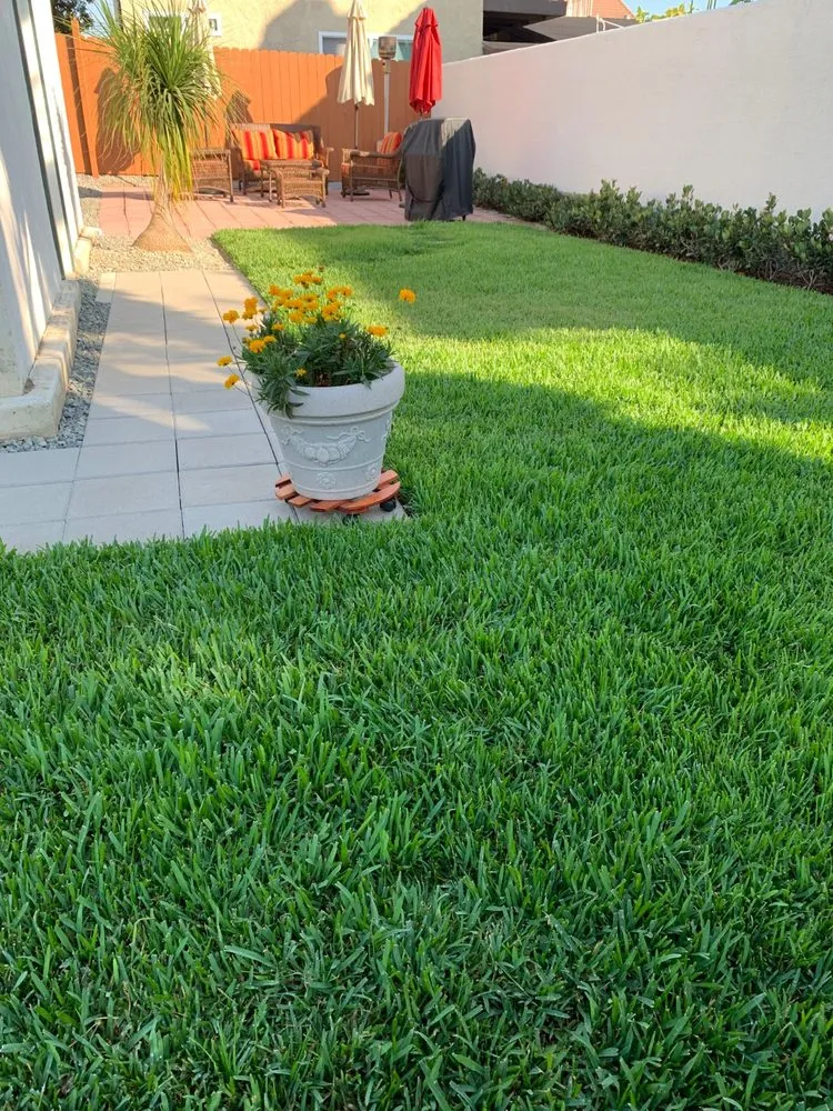 Trusted yard maintenance in San Juan Capistrano, CA by Burns Landscaping