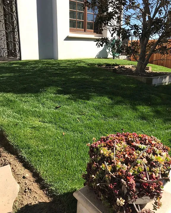 Affordable outdoor landscaping experts serving San Juan Capistrano, CA - Burns Landscaping