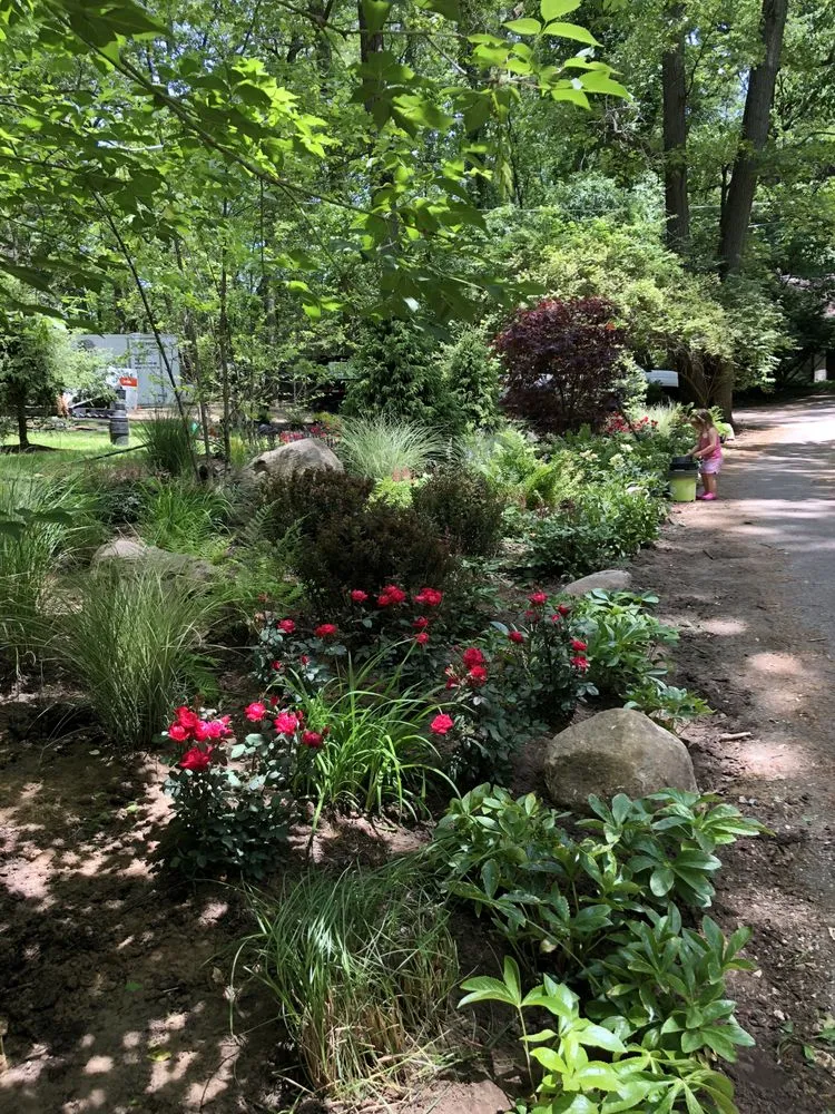 Reliable yard cleanup service in Ann Arbor, MI - Burns Lawn Care & Landscaping