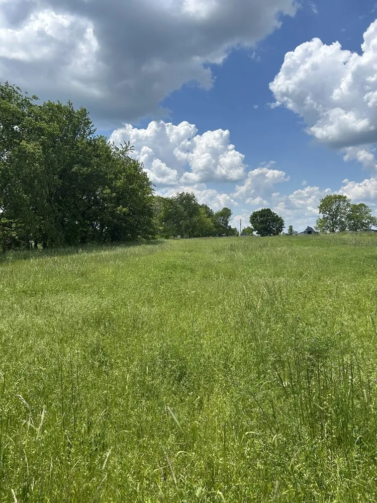 Expert yard maintenance for homes in Gentry, AR by Burns Lawn Care