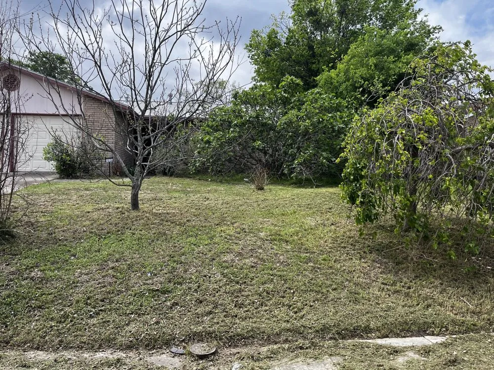 Professional outdoor landscaping in San Antonio, TX by Burns Lawn Services & Yard Restoration