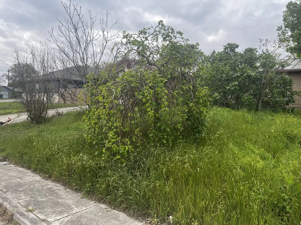 Affordable landscape design in San Antonio, TX - Burns Lawn Services & Yard Restoration