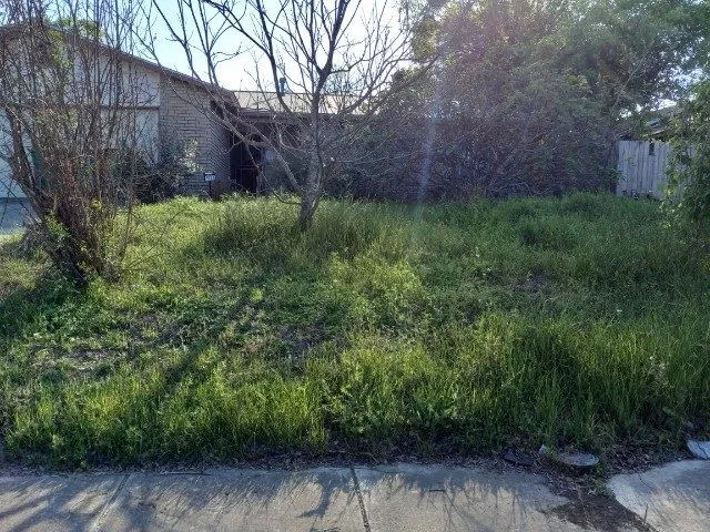 Local landscape design near you across San Antonio, TX - Burns Lawn Services & Yard Restoration