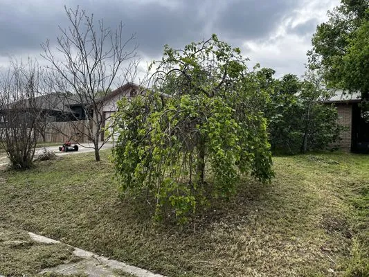 Burns Lawn Services & Yard Restoration Logo