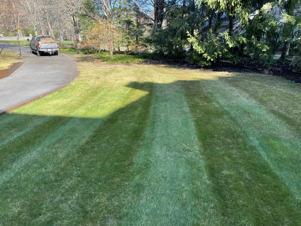 Professional yard cleanup service experts serving Queensbury, NY - Burns Property Management