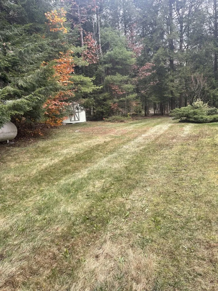 Expert yard maintenance near you across Queensbury, NY - Burns Property Management