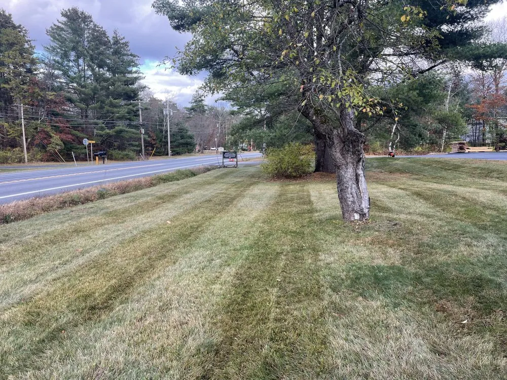 Reliable outdoor landscaping in Queensbury, NY by Burns Property Management
