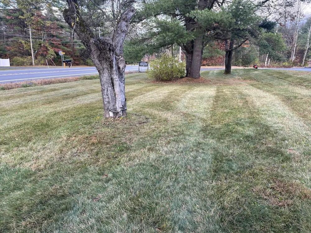Local landscaping services in Queensbury, NY - Burns Property Management