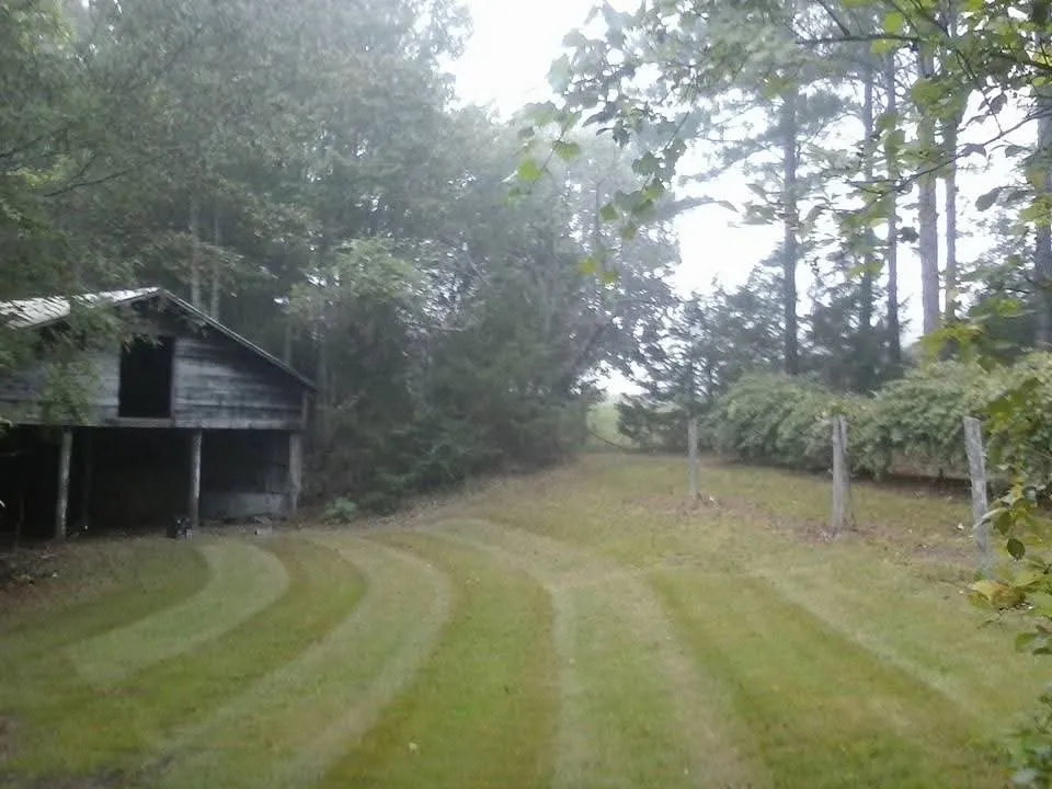 Local residential landscaping in Seneca, SC - Burns Residential Services