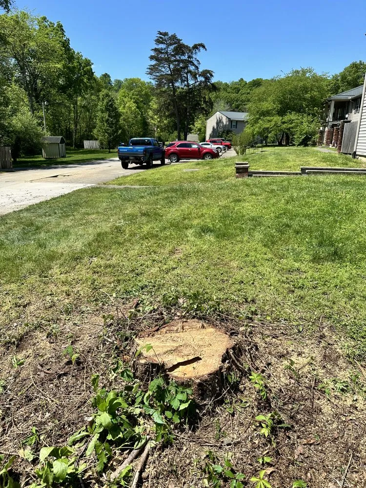 Professional garden landscaping experts serving McDermott, OH - Burns Tree Services