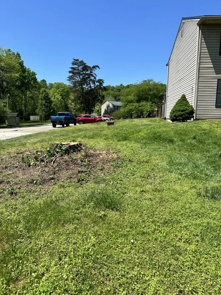 Trusted lawn mowing service in McDermott, OH - Burns Tree Services