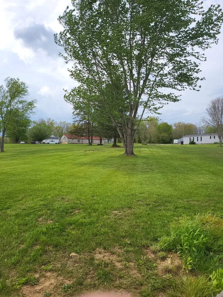 Local yard maintenance for homes across McDermott, OH - Burns Tree Services