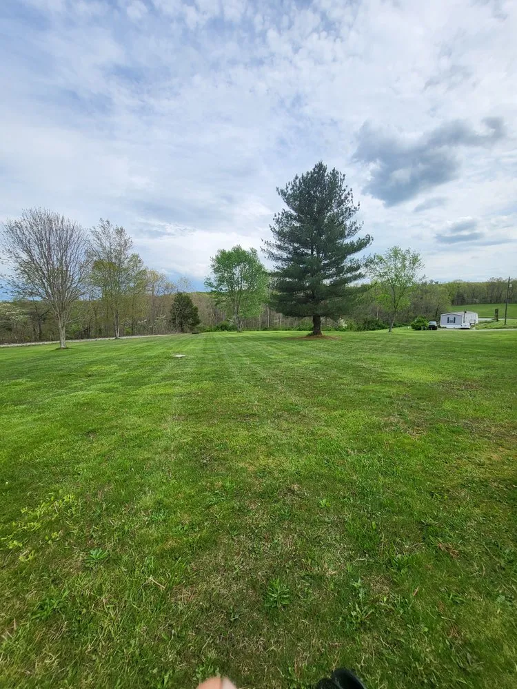 Local lawn mowing service with custom design in McDermott, OH by Burns Tree Services