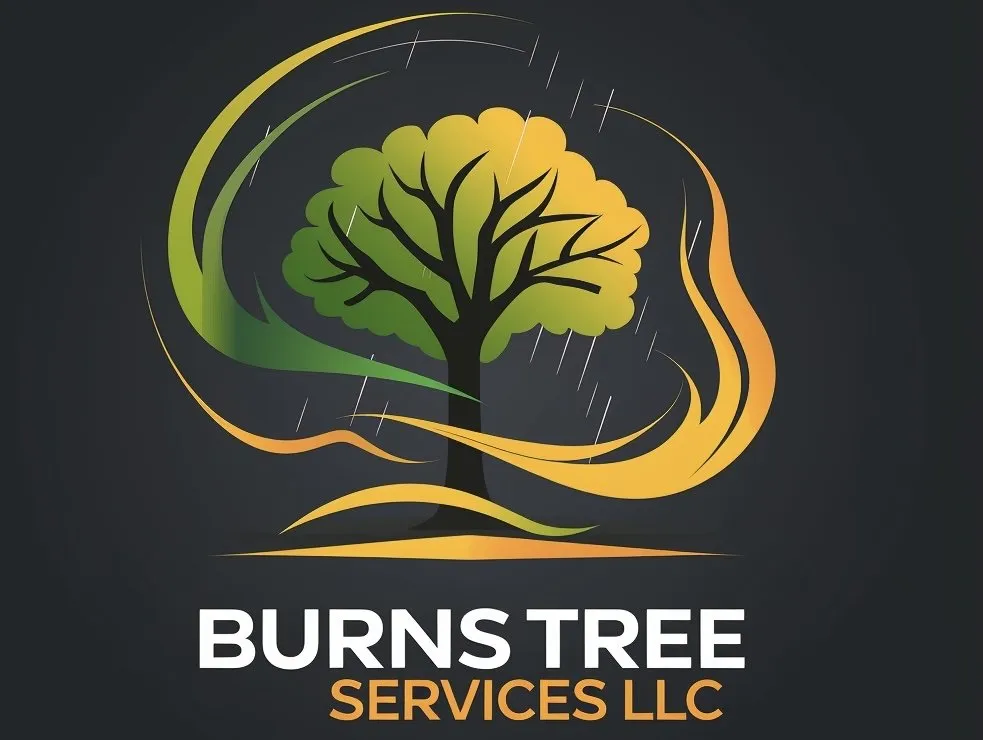 Custom landscape installation in McDermott, OH - Burns Tree Services