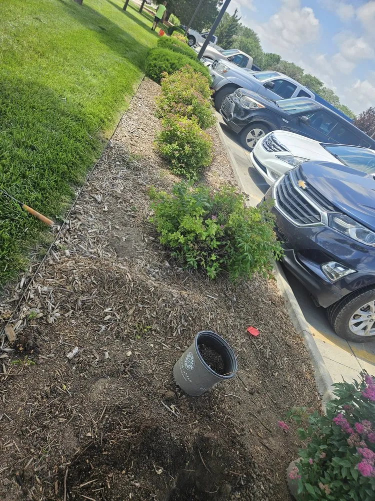 Expert landscaping services experts serving Hays, KS - Burnsy's Lawn Service