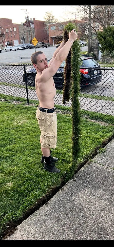 Custom yard maintenance in Springdale, PA by Burrell Grounds & Services