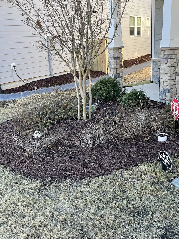 Trusted outdoor landscaping for beautiful yards in Raleigh, NC by Burrell's Landscaping