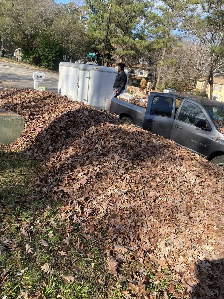 Local residential landscaping for residential properties in Raleigh, NC by Burrell's Landscaping