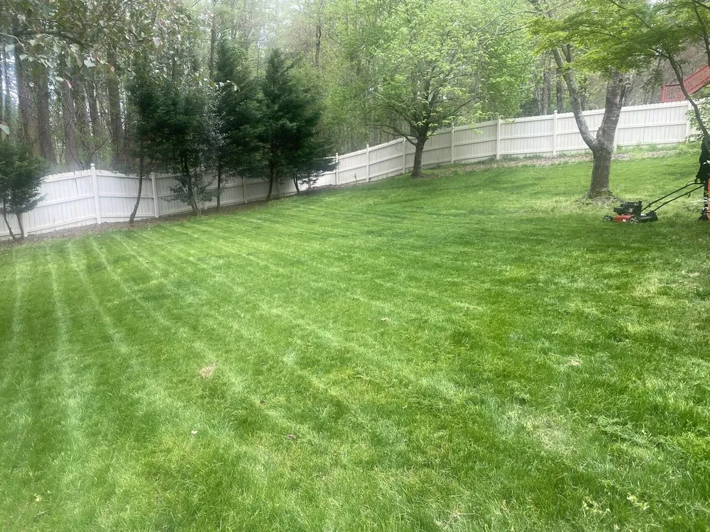 Professional yard maintenance in Raleigh, NC by Burrell's Landscaping