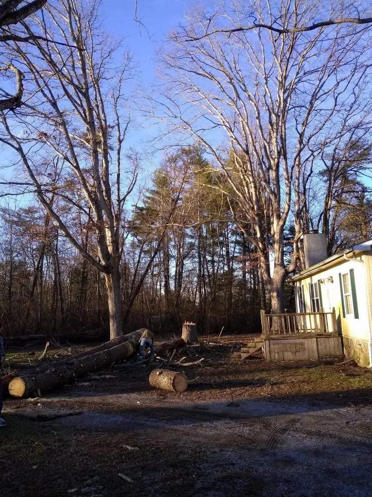 Expert lawn care service in Kingston, TN by Burress & Sons Tree Service & Landscaping