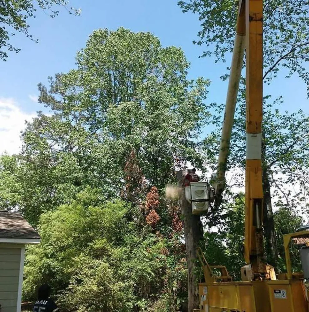 Trusted yard maintenance for beautiful yards in Kingston, TN by Burress & Sons Tree Service & Landscaping