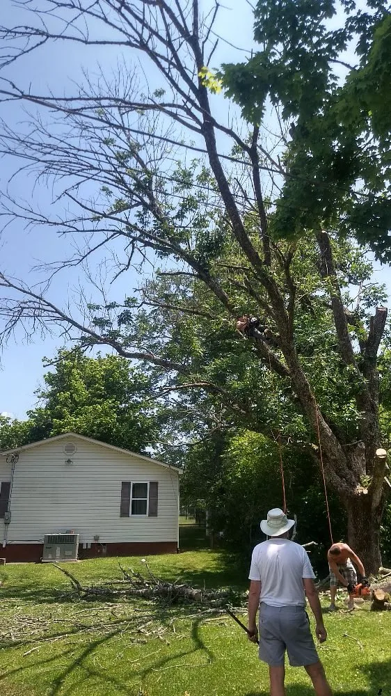 Trusted yard cleanup service for residential properties across Kingston, TN - Burress & Sons Tree Service & Landscaping