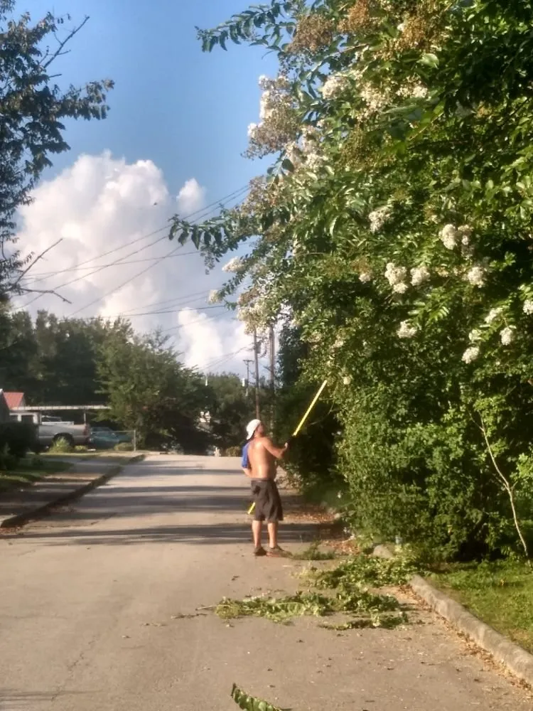 Local landscape design in Kingston, TN by Burress & Sons Tree Service & Landscaping