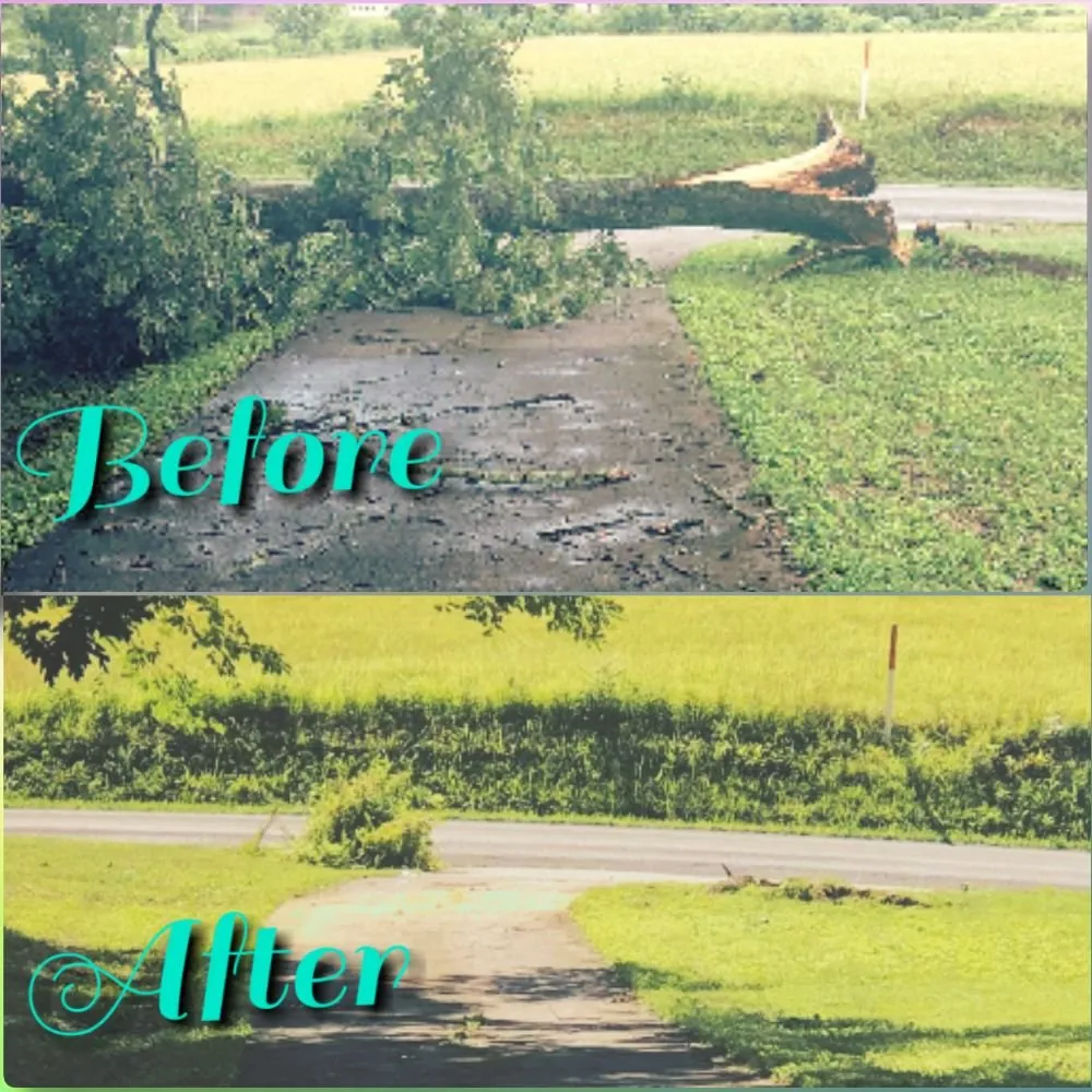 Reliable landscape design in Kingston, TN by Burress & Sons Tree Service & Landscaping