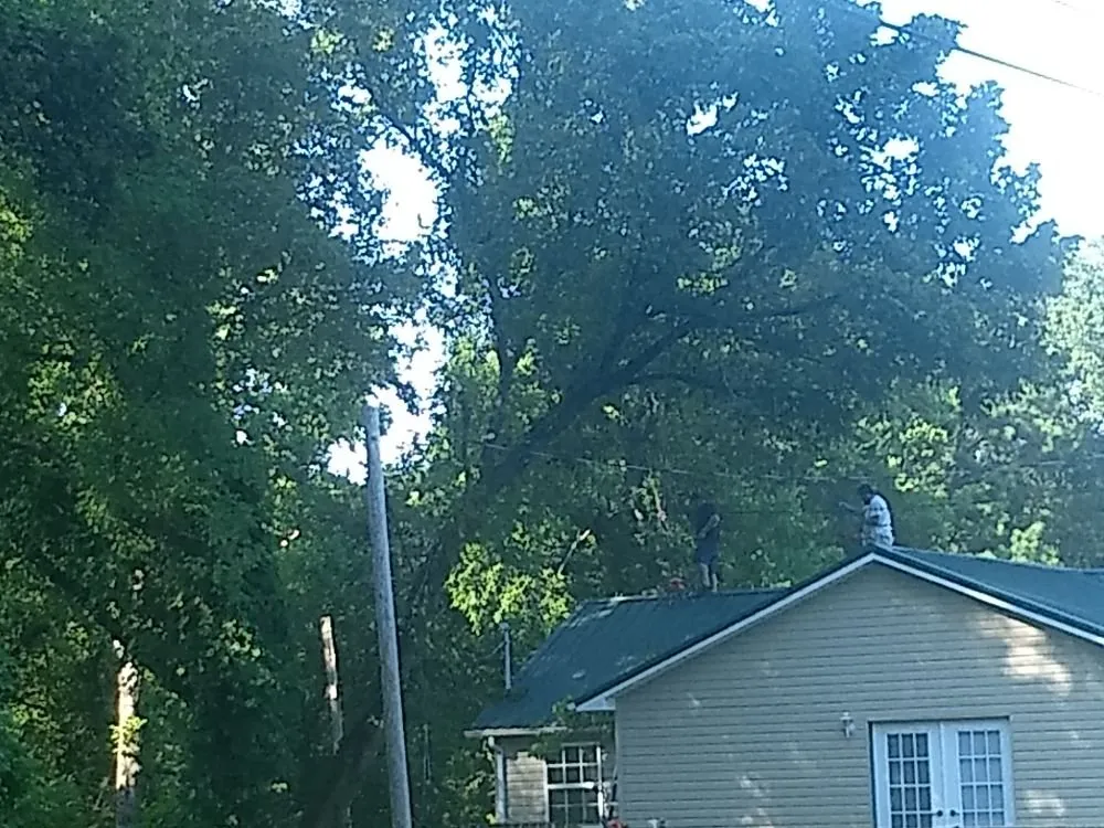 Expert landscape installation with custom design in Kingston, TN by Burress & Sons Tree Service & Landscaping