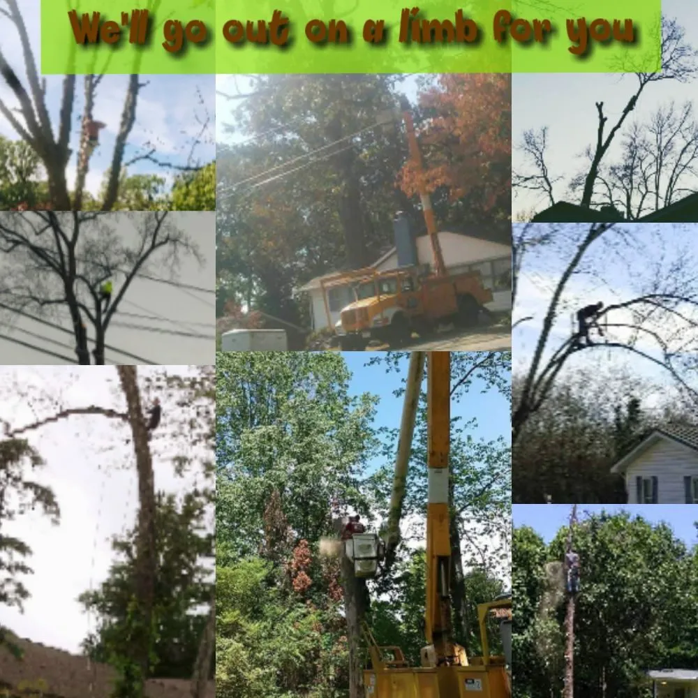 Trusted lawn care service in Kingston, TN - Burress & Sons Tree Service & Landscaping