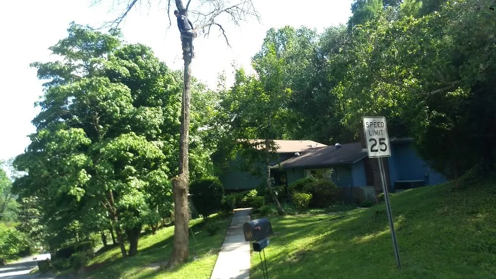 Trusted garden landscaping in Kingston, TN by Burress & Sons Tree Service & Landscaping