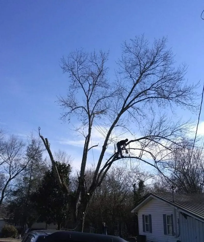 Affordable outdoor landscaping experts serving Kingston, TN - Burress & Sons Tree Service & Landscaping