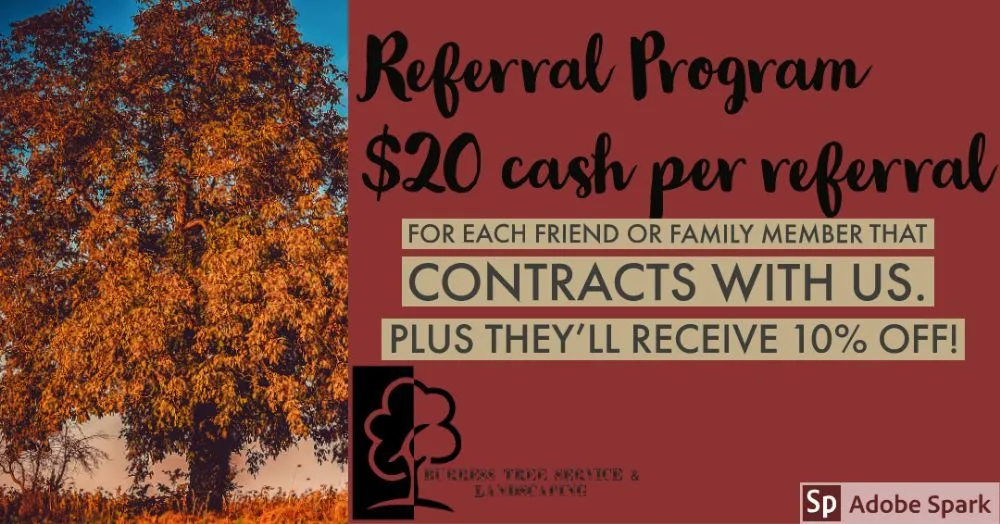 Reliable landscape installation for residential properties across Kingston, TN - Burress & Sons Tree Service & Landscaping