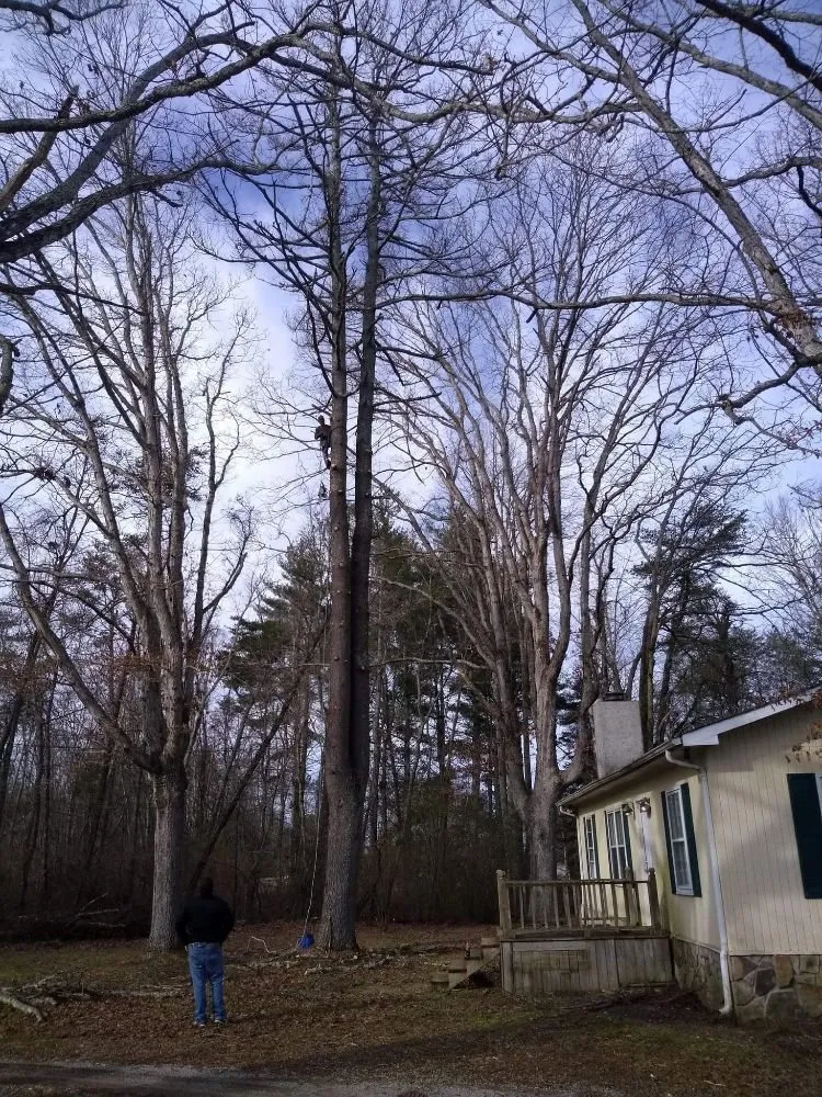 Reliable landscaping services in Kingston, TN - Burress & Sons Tree Service & Landscaping