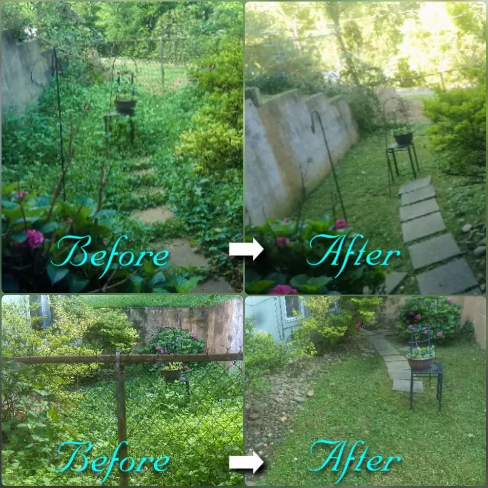 Reliable yard cleanup service for beautiful yards across Kingston, TN - Burress & Sons Tree Service & Landscaping