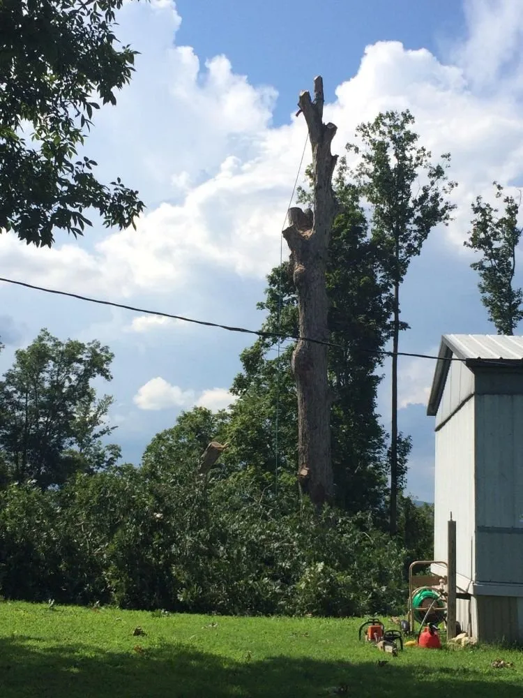 Trusted residential landscaping in Kingston, TN - Burress & Sons Tree Service & Landscaping