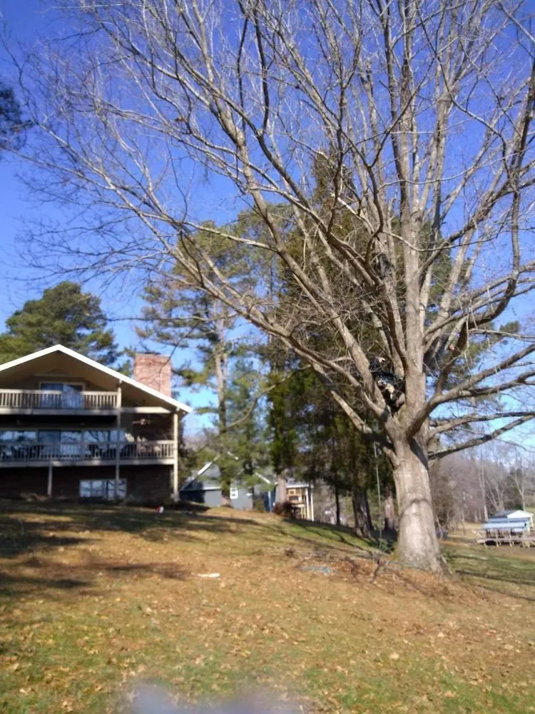 Trusted garden landscaping experts serving Kingston, TN - Burress & Sons Tree Service & Landscaping