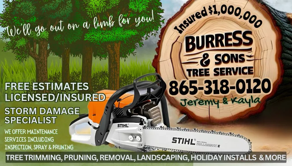 Affordable landscape installation for year-round maintenance in Kingston, TN by Burress & Sons Tree Service