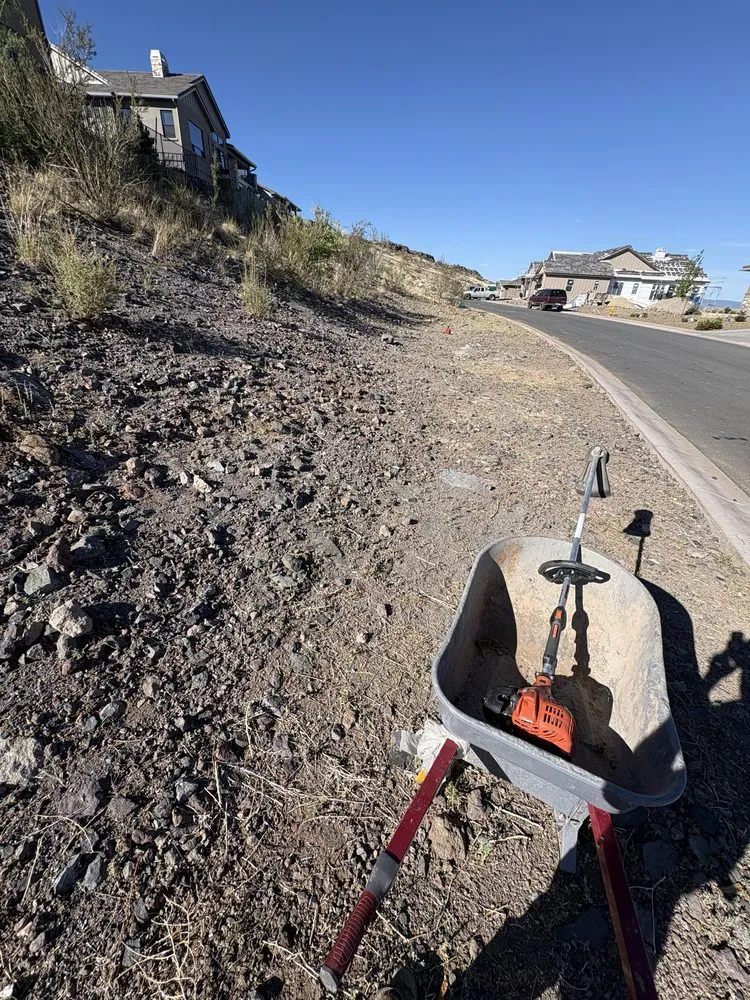 Reliable landscape installation experts serving Paulden, AZ - Burritos Landscaping