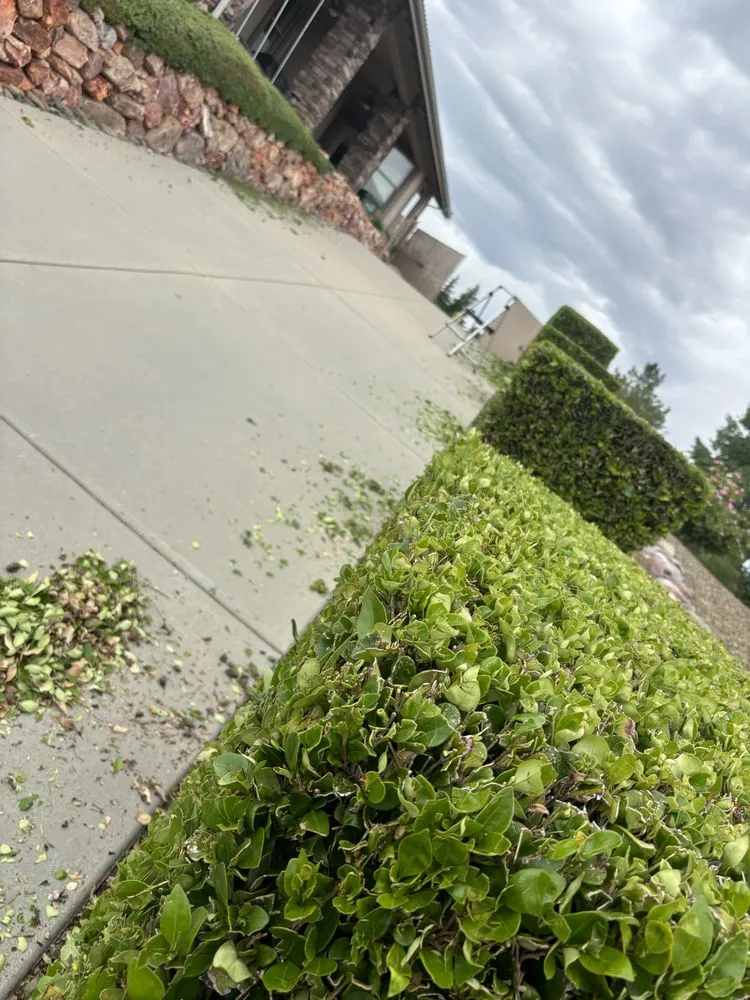 Expert landscape design with custom design in Paulden, AZ by Burritos Landscaping