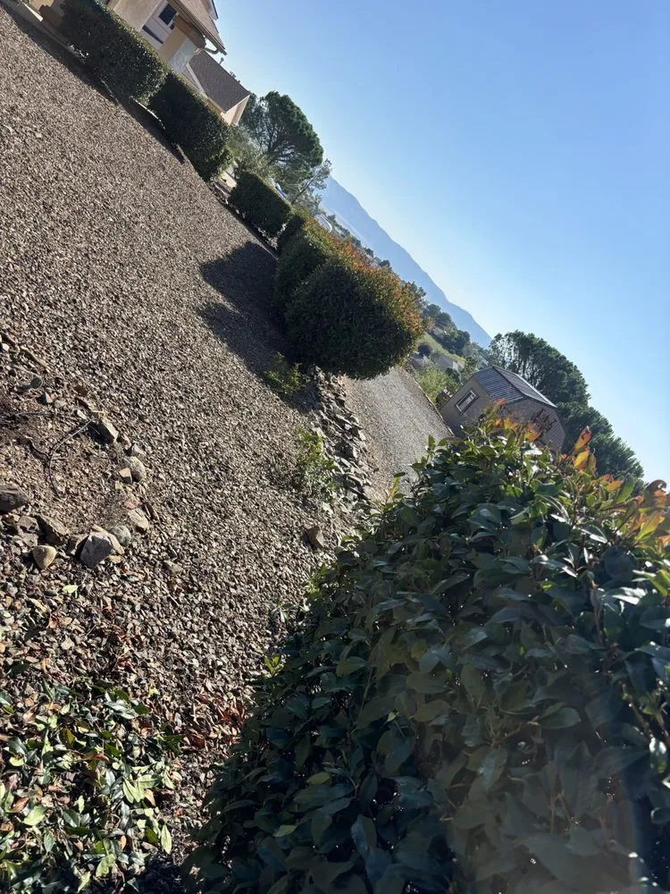 Custom lawn care service in Paulden, AZ by Burritos Landscaping