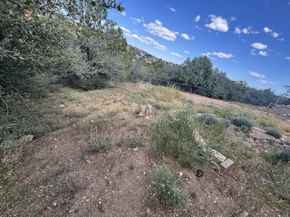 Professional yard cleanup service in Paulden, AZ - Burritos Landscaping