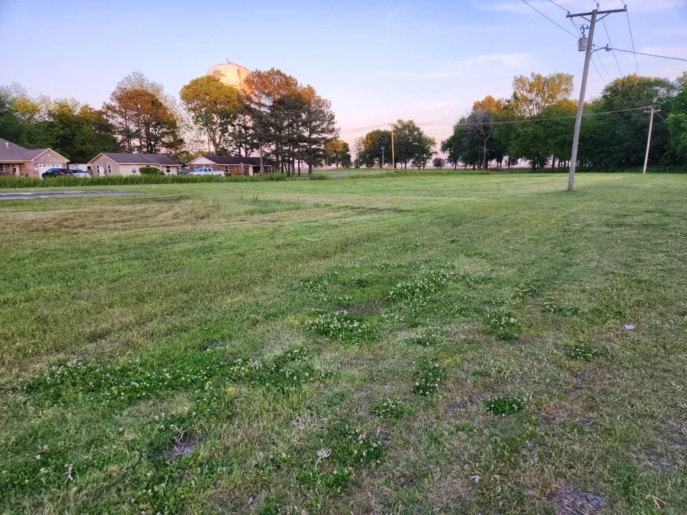 Professional lawn mowing service for beautiful yards in Lonoke, AR by Burrow & Sons Lawncare