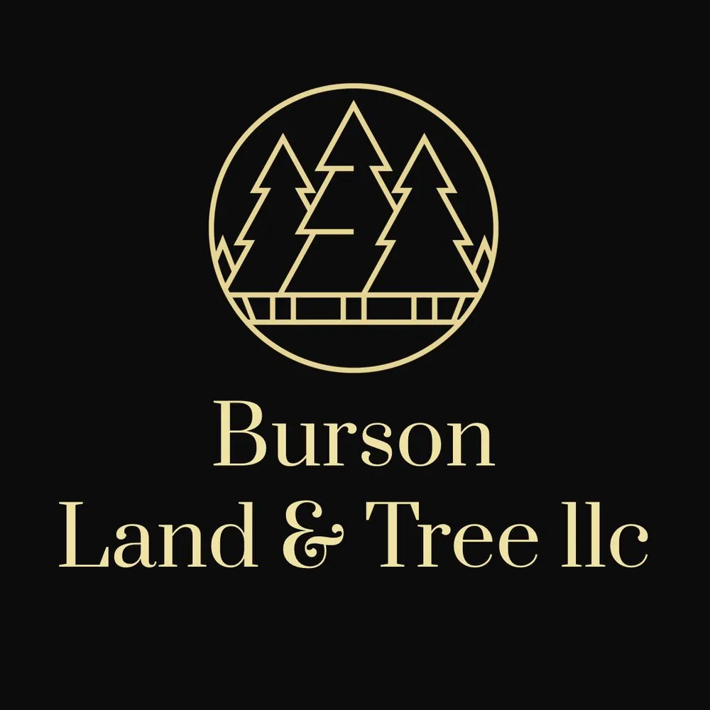 Trusted lawn mowing service with custom design across Marysville, WA - Burson Land & Tree