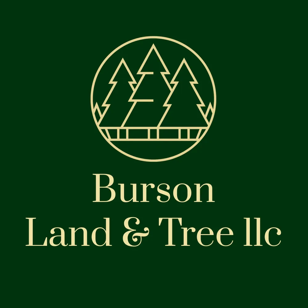 Custom yard cleanup service in Marysville, WA - Burson Land & Tree