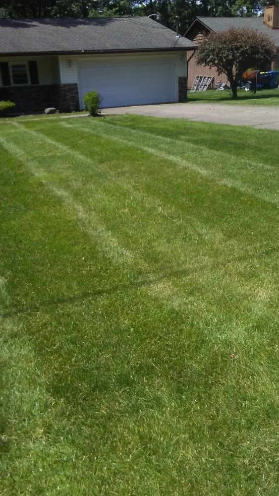 Trusted landscaping services in Edinburg, PA by Burton Lawn Care